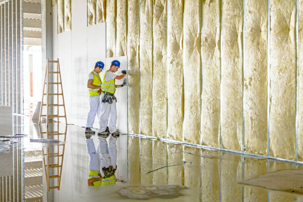 Best DIY Insulation Kits and Guidance in Jeffersontown, KY